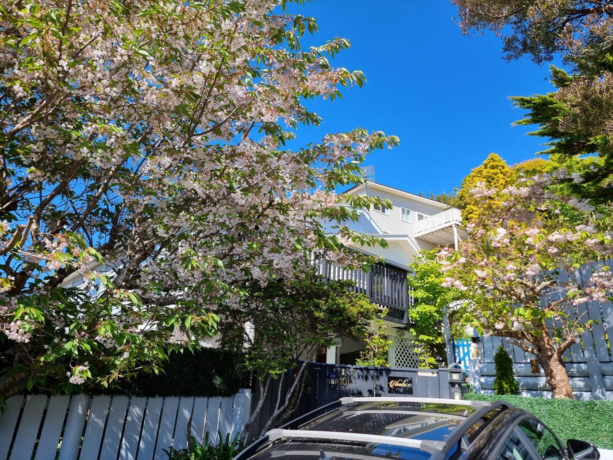 Entire Ground Floor With Full-Privacy And Family-Friendly Popular To Ferry Catchers Wellington Exterior photo